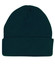 A green acrylic beanie with a rolled cuff and a seamless design. It features a logo on the side.