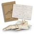 A wooden model of a jet fighter in light wood tones, alongside a die-cut sheet and packaging with a logo.