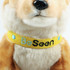 A plush dingo toy in brown with a yellow collar featuring "Be Seen" in black and blue embroidery.