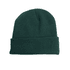 A warm, knitted acrylic beanie in a dark green colour with a rolled cuff. It features a logo.