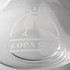 A clear glass wine decanter featuring an etched logo design. The shape is elegant and classic.