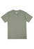 A short sleeve t-shirt in a muted olive green colour, featuring a simple design and a logo at the neckline.