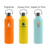 A drink bottle collection featuring orange, yellow, and light blue insulated stainless steel designs with logos.