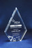 A diamond-shaped acrylic trophy with a clear finish and a blue background. Features engraving and a logo.