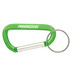 A green carabiner featuring a silver keyring and a logo. The design is lightweight and durable.