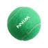A green tennis ball with white markings and a logo. It has a fuzzy texture typical of pet toys.