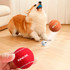 A red and an orange pet tennis ball are shown, with a dog interacting with them on a wooden floor.