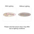 An iridescent alligator hair clip shown with and without lighting, displaying pastel shades. The clip features a logo.