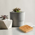 A bamboo wireless charger featuring a wood grain design, placed next to potted succulent plants.