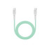 A mint green 100W fast charging cable with white connectors, featuring a logo on the connectors.