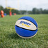 A mini basketball in blue and white resting on green grass, featuring a logo.