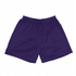A pair of purple shorts with an elastic waistband and a smooth fabric. The item has a logo on one side.
