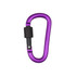 A purple D-shaped screw lock keychain with a black locking mechanism. It has a smooth, metallic finish.
