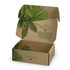 A brown kraft die cut box with a locking lid, featuring green botanical illustrations and an open top.