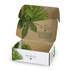 A die cut box with a locking lid, featuring a botanical design in green and brown tones. It includes branding elements.