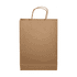 A brown paper bag with twisted handles and a flat base, suitable for various uses.