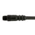 Remke E04E0066BA5S9 Cordset Etherlink M12 Shield Male 6.6ft