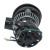 Packard 80280 Draft Inducer 230 Volt 0.55 Amps 3000 RPM Replaces Amana D69964-3
