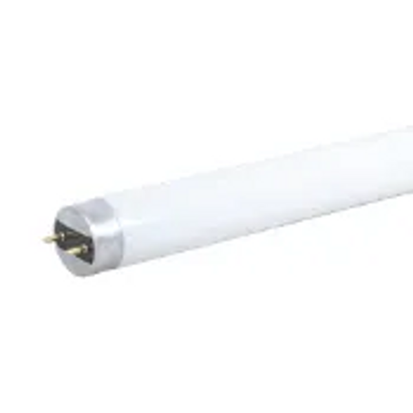 Halco 82357 T8 Quick Connect Linear Tube 24" 8W 5K Type A Direct Connect T824FR8/850/DIR3/LED