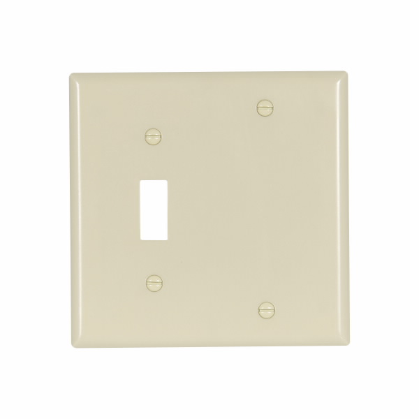 Eaton Wiring Devices 4171V-BOX Wallplate 2G Tog/Blnk Thrmst Std Deep IV