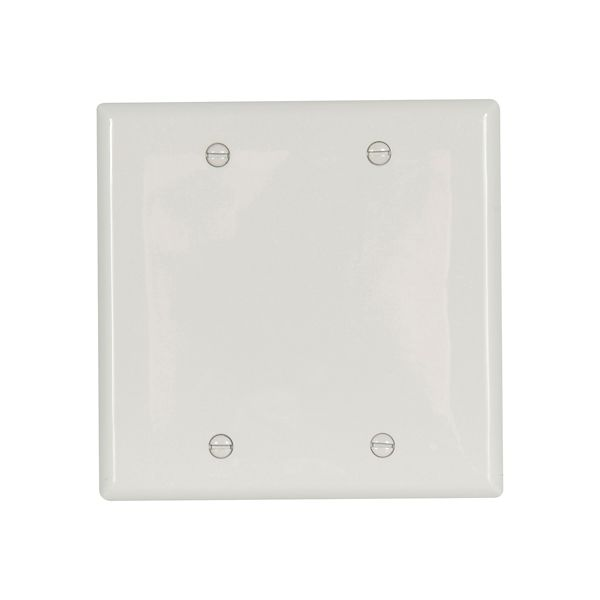 Eaton Wiring Devices 5137W-BOX Wallplate 2G Blank Box Mnt Nylon Std WH