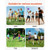  Disc Golf Set, 8 Pack Disc Golf Starter Set, Beginners Flying Discs for Full-Body Strength Trainin E415-FPGEFJJTZ8GZSXFR4001V0
