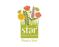 Star Roses and Plants