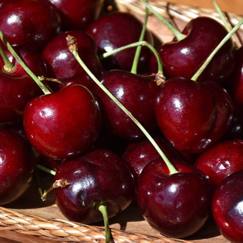 Cherry Combo fruit tree