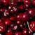 Blackgold Sweet Cherry Fruit Tree
