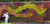Fyre Wing Amber Heuchera
Fyre Wing Amber  Coral Bells