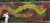 Fyre Wing Hematite Heuchera
Fyre Wing Hematite Coral Bells