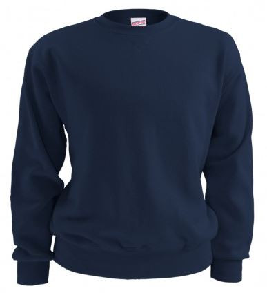 Sweatshirt with Logo (1011)
