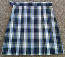 Girls Skirt (1049)