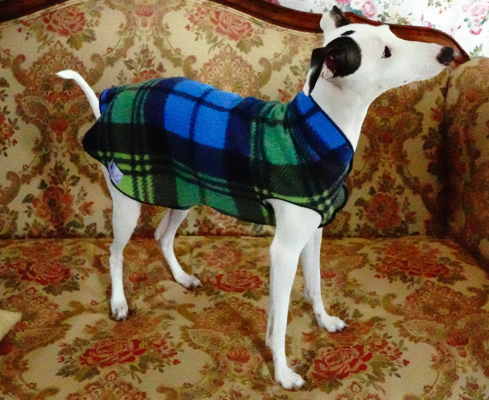 Medium Worm Fleece Vest, Dogwear  Clothing for  Italian Greyhound Iggy Dachhund Tartan