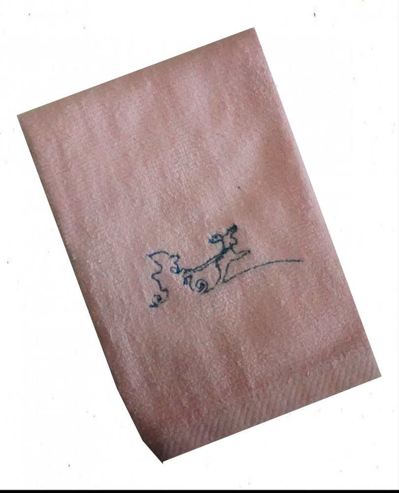 "Santa" White Towel Gift Embroidered Hand Kitchen Towel  Veralis