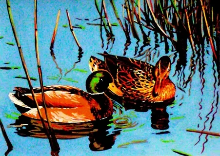 "Ducks" Printed Canvas for  Needlepoint Tapestry Gobelin  Embroidery Gobelin L 14854