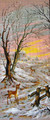 Kit of Anchor Cotton Threads Floss for Needlepoint Canvas  "Winter Morning" H322