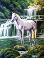 "The white horse" Printed Needlepoint Tapestry Canvas Collection D'art 10428
