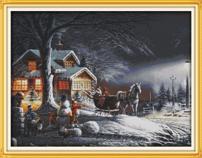 "Winter Snow" Printed stamped Cross Stitch Needlework Kit F519