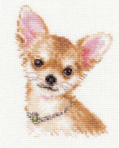 "Chihuahua"  Unprinted Needlework Kit 1-30