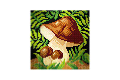 "Mushrooms" Printed Canvas for Cross Stitch Tapestry Gobelin Embroidery Orchidea 2819