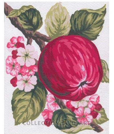 "Apple" Printed Needlepoint Tapestry  Canvas 3159