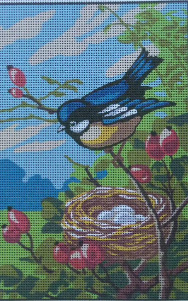 "Tomtit" Printed Needlepoint Tapestry  Canvas Collection D'art  6290