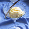 Vanilla Bean Ice Cream (TDA)