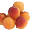 Apricot (BD)