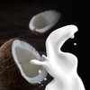 Coconut Milk (HC)