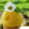 Lemonberry Cream (FS)