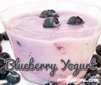 Yogurt - Blueberry (OOO)