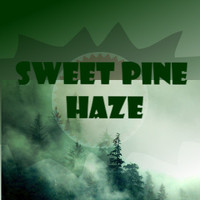 Sweet Pine Haze (TP)