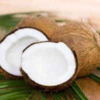 DX Coconut (TDA)